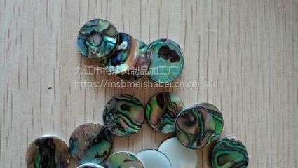 鲍鱼贝乐器配件 贝壳工艺品