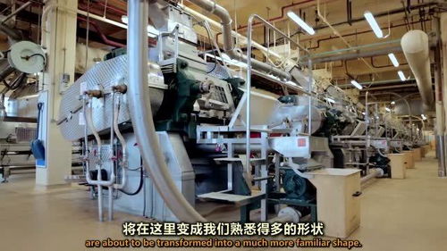 玉米粒是如何在加工厂里变身成玉米片的 工厂里究竟隐藏了怎样的魔法机器