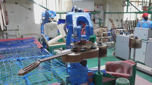 匠心筑梦南靖 打造全球尤克里里单项产品产值冠军的乐器王国